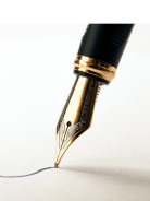 Pen Image